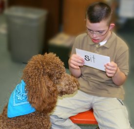 Boy playing with therapy dog.