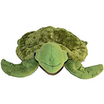 SID sensory turtle