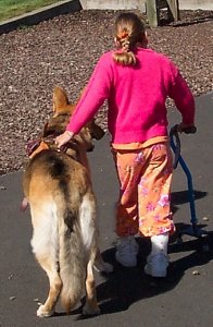 girl with cane walking with dog in harness