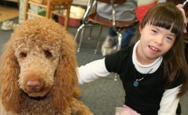 Young girl  with therapy dog in special needs classroom.
