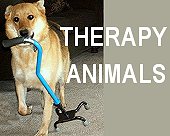 Therapy Service Animals Section